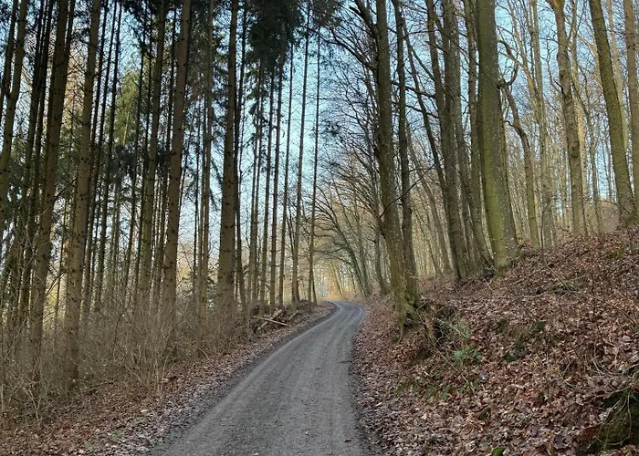Herberg Gaestehaus Krone Holzkirchen (Wurzburg)