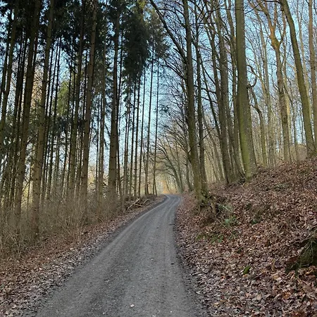 宾馆 Gaestehaus Krone Holzkirchen (Wurzburg)